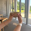 미니스톱 양산타운점 | [25’다카마쓰] 7월 일본여행, 3박 4일 다카마쓰 여행 사진들 (다카마쓰 우동과 나오시마)