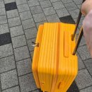 엘론 | 24인치 여행용 캐리어 추천, 브라이튼 엘론 전면오픈 캐리어 실사용 후기