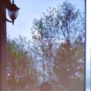 창신공인중개사사무소 이미지