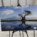 희망나눔 파주아트페스티벌 | 파주 아트 페스티벌 '아이고 배야' 공연 관람 후기