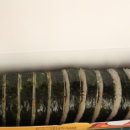 얌샘김밥 이미지