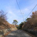 서천 건지산성 이미지