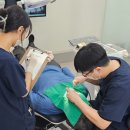 임플라인치과의원 이미지