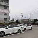 거구생고기 이미지