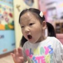 거북이 등껍질을 꾸며주고 동물 판에 조각을 뗐다 붙여요~! 이미지
