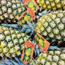 만집유통 이미지