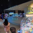 오락실 | 아이랑 잠깐 즐기기 좋았던 스플라스 리솜 오락실 후기｜리조트 내부 놀거리
