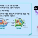 뉴런과학학원 - 화성시 동탄대로4길 53 | 중학교 과학, 고등 통합과학까지 이어진다 | 중학 과학 연결고리로 보는 과학 공부법