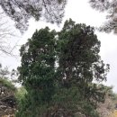 남대천약국 이미지