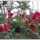 송현여자중학교 이미지