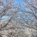 신동수변 이미지