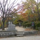 해맞이동산