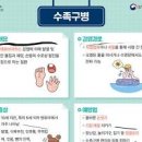 수족구병 원인 잠복기 전염 소아 유아 수족구병 전염 수두와 차이점 이미지