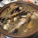 오리박사 이미지