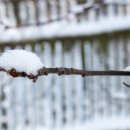 연강농장 이미지