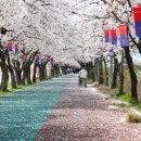요천제방길 네이버블로그