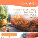 강산여행사 이미지
