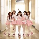 비피팝 카카오 검색결과