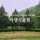 유명산자연휴양림 자생식물원에서 느낀 숲속 피톤치드 가득한 하루