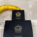 오션파라다이스 이미지