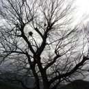 박곡보건진료소 이미지