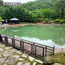 프라임캠핑장 | 강원도 춘천 자연 속 힐링 캠핑, 프라임 캠핑장 솔직 후기🌲