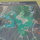 2024.05.06 진천 농다리, 미르309 출렁다리, 하늘다리, 한반도지형공원, 범죄도시4 관람 cgv 탄방(1) 이미지