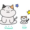 대구세차장 네이버블로그
