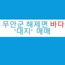 대지공인중개사사무소 이미지