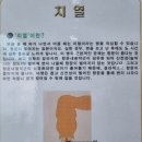 제주대항외과 네이버블로그