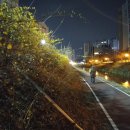 관악산현대홈타운 이미지