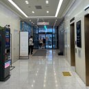 솔라고 명동 이미지