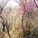 금수강산 이미지