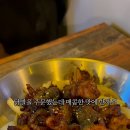 황금모이집
