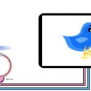 인디비주얼 이미지