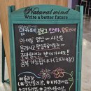 헐리우드롤러클럽 네이버블로그