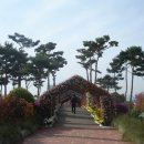 산내들부동산중개(주) 이미지