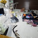 꼬마농축산 | 고양이 세 마리 데리고 샌프란 입국기 -1편 / 대한항공 동물 카고 vs 기내 탑승, 캘리포니아 반려묘...