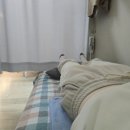 나 혼자 두 발로 걸어 다닐 수만 있다면 뭔들!