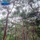 강동천행정사사무소 | 서울가볼만한곳 아차산 등산코스 정상까지 등산 후기