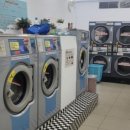 화인세탁소 이미지