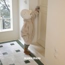 리므 네이버블로그