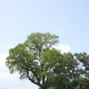 성북동-912 이미지