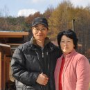 김진영농장 이미지