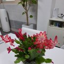 행정사작은행복 이미지