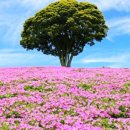 상순목장 이미지