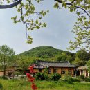 왕곡커피 | 강원도 고성 왕곡마을 아이와 함께 (볼거리 많을까? 솔직 후기)