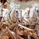 백마상사 이미지