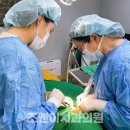 조앤이치과의원 네이버블로그