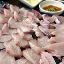 다미횟집 | 당산역 대방어 맛집 다미횟집 내돈내산 후기(웨이팅, 주차, 예약)